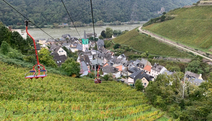 Herbstwanderung rund um Rüdesheim